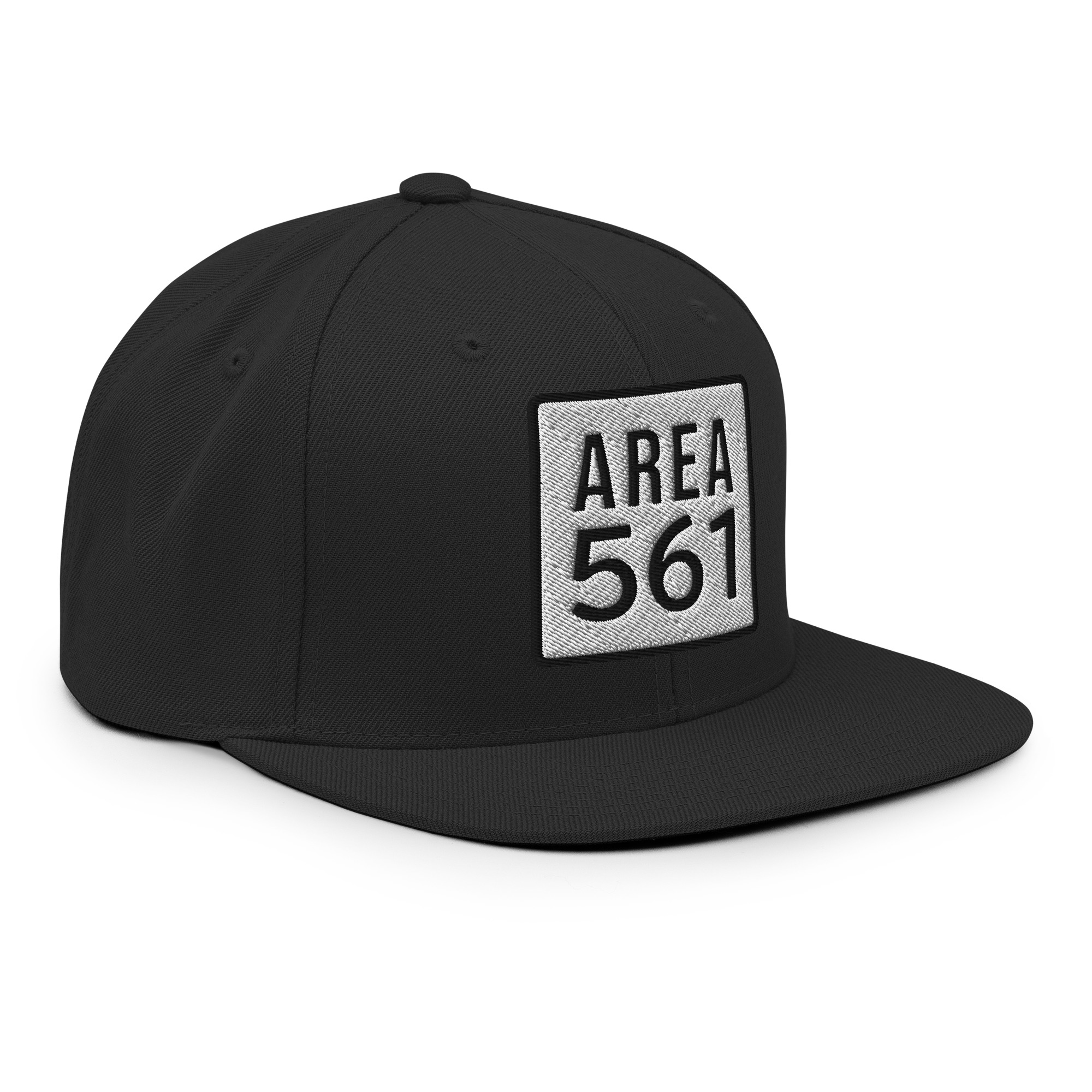 Area561 Snapback